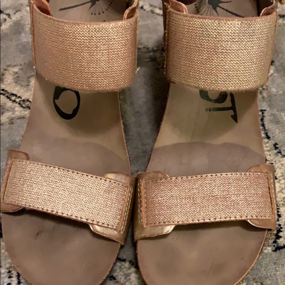 OTBT trailblazer wedges!